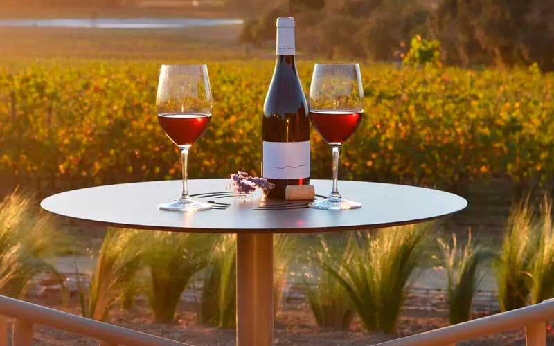 Disfrutar del enoturismo en el Empordà