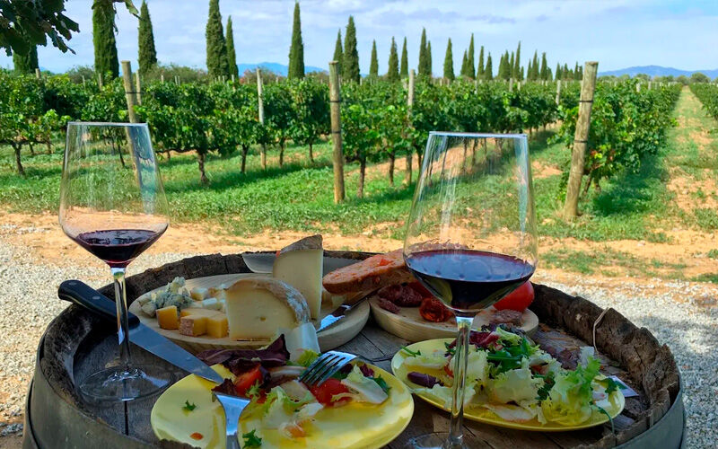 Enoturismo Costa Brava, La Vinyeta