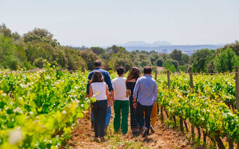 Enoturismo Costa Brava, Mas Oller