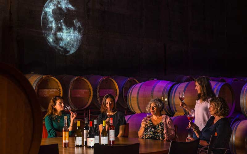 Enoturismo Costa Brava, Mas Llunes