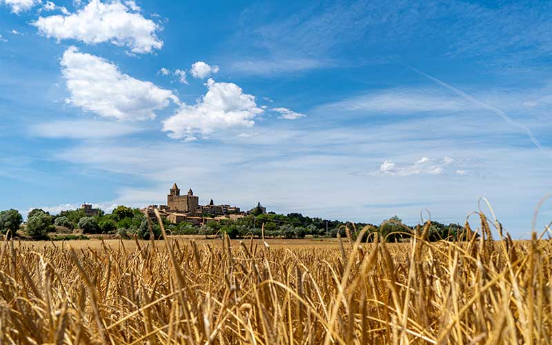 Pueblos más bonitos de Girona, Monells