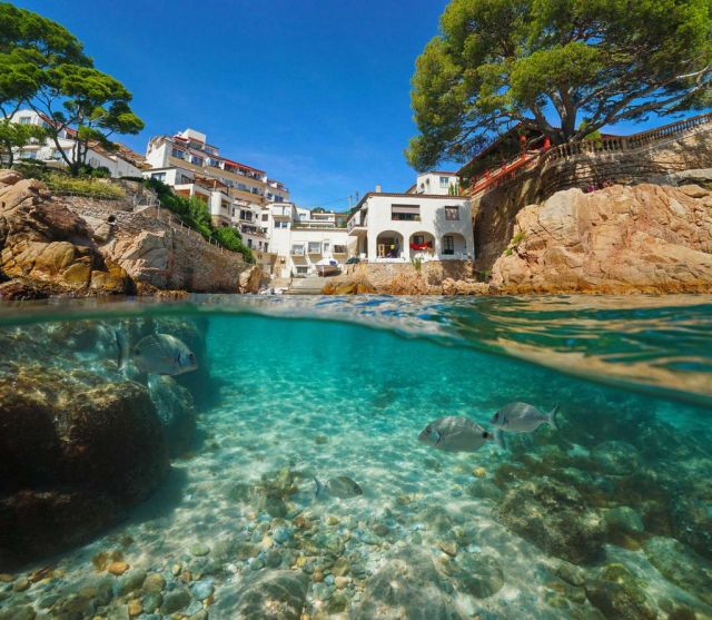 Hotel Aigua Blava_2